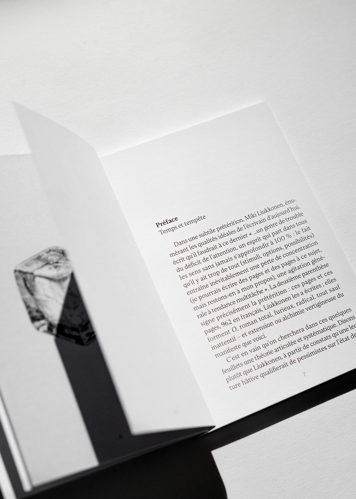 L'avenir de la littérature