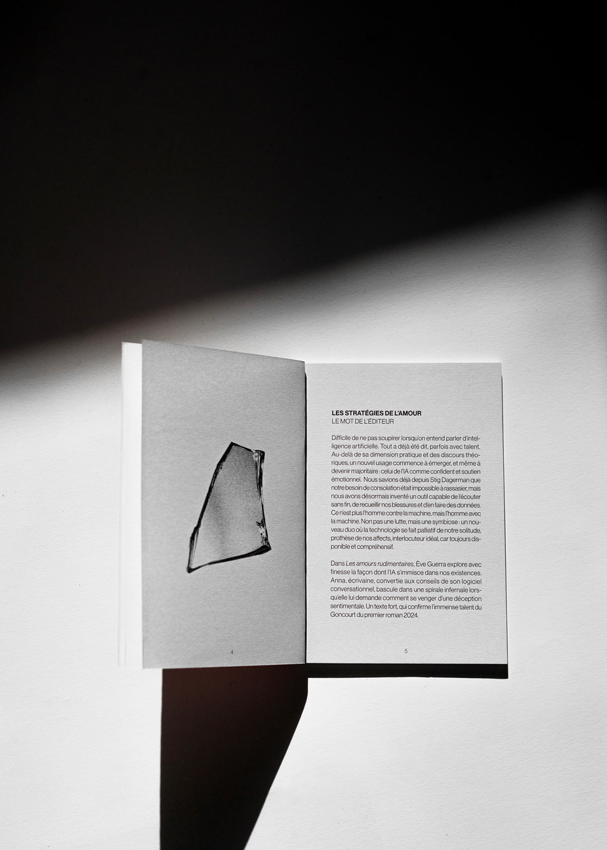 Les amours rudimentaires